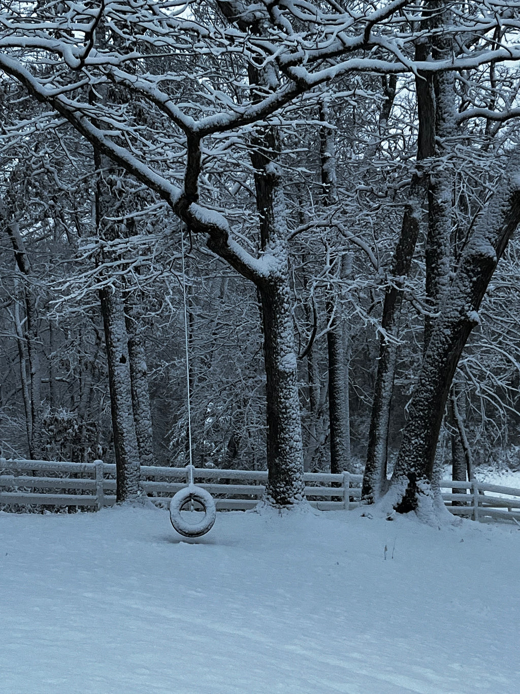 Winter Tire Swing & Snow-Covered Forest – Digital Download